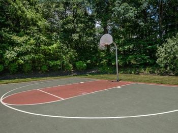 A basketball court in a park with trees in the background